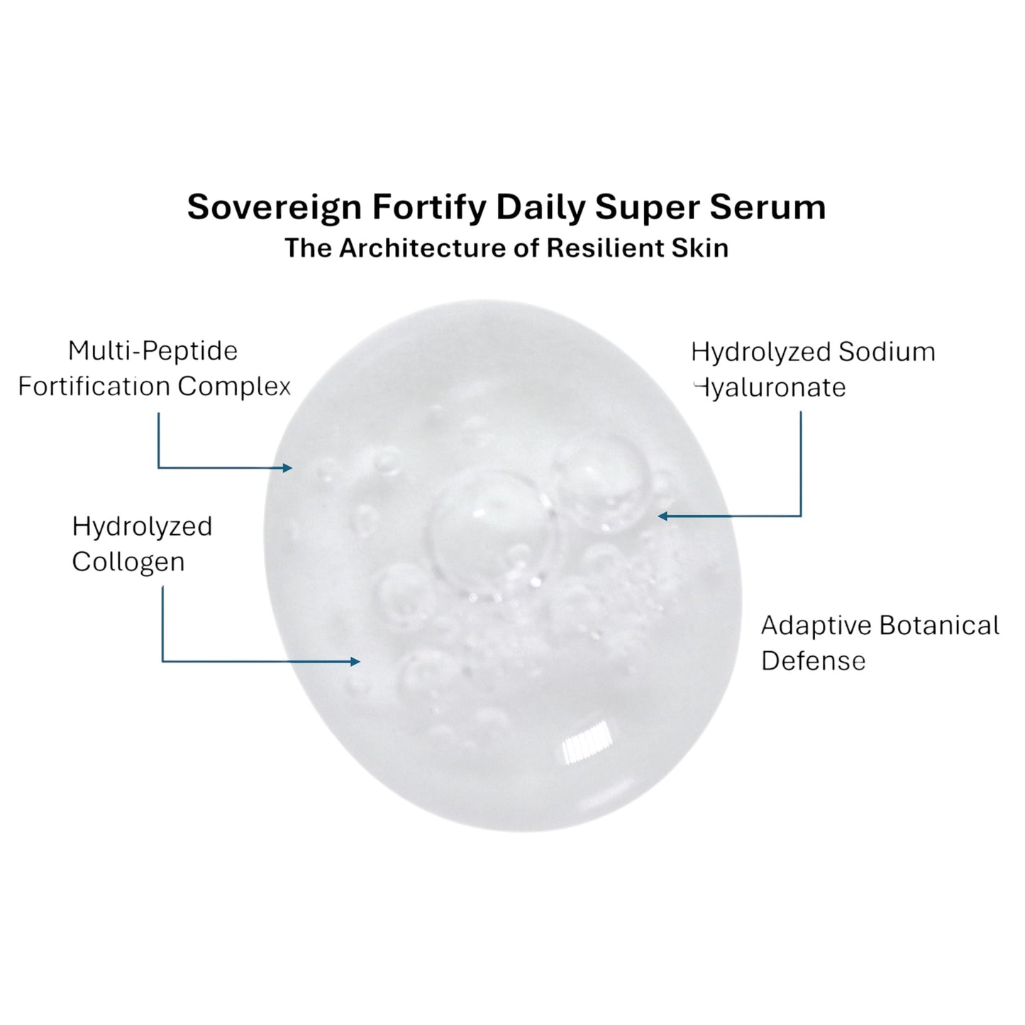 Diagram of Sovereign Fortify Daily Super Serum with labeled components on a white background